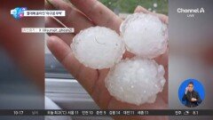 [앉아서 세계 속으로]브라질서 ‘야구공 우박’ 우르르…도시 초토화