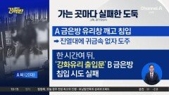 [돌직구 강력반]“왜 안 깨지지?”…연쇄 금은방 털이 빈손 덜미