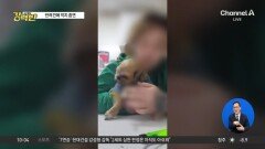 반려견에 ‘억지 담배’…“학대” 공분