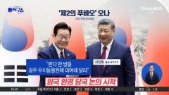 [핫피플]‘제2의 푸바오’ 올까?…韓-中 판다 추가대여 협의