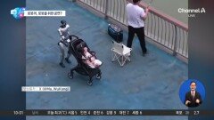 [앉아서 세계 속으로]세차부터 육아까지…중국에선 로봇이 ‘일상’