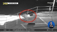 지적장애 조카 바다에 빠트려 숨지게 한 삼촌