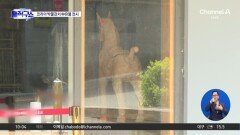 ‘코리아 박물관’서 중국 유물 전시