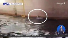 실종 다이버 26km 떠밀려가 구사일생