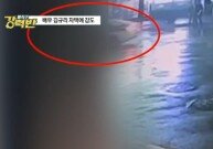 배우 김규리 자택에 강도 침입…밖으로 대피해 경찰 신고