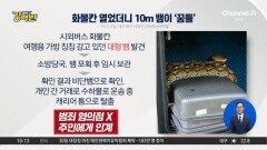 [돌직구 강력반]화물칸 열었더니…10m 대형 뱀이 ‘꿈틀’