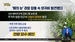 [돌직구 강력반]잡풀 속 ‘양귀비’ 알아챈 ‘매의 눈’ 경찰