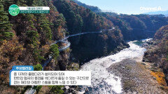 겨울 힐링 여행지 철원