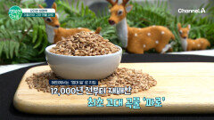 비만과 혈당을 극복하고 건강해진 이유는?