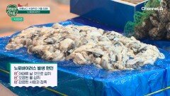 여름보다 치명적인 겨울 장염! '노로바이러스'