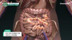숨만 쉬어도 살찐다! 겨울철 장 건강을 위협하는 '소화불량'