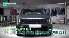 [차차차] 소형SUV 이젠 단순한 첫 차가 아닌 패밀리카로 급부상