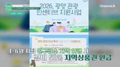 떠나면 절반이 공짜! 반값 여행지 어디?