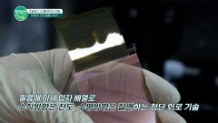 초슬림 디스플레이의 비밀 이방성전도필름