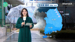 오늘 전국 봄비, 최고 60mm... 미세먼지 농도는 \