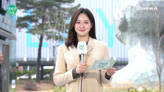 [날씨] 서울 벚꽃 공식 개화, 많은 양의 봄비