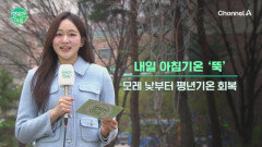 한낮에도 서늘한 봄바람... 비 그친 뒤 기온 뚝, 건강 유의!