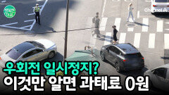 초보 운전자 필독! 헷갈리는 우회전 일시정지, 완벽하게 정리