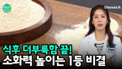 소화불량 싹 잡아주는 카무트 효소의 비밀