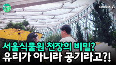 서울식물원 천장의 비밀? 유리가 아니라 \