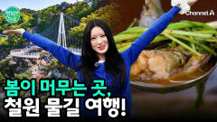 철원 한탄강 주상절리길 & 고석정 여행