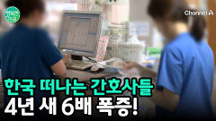 ＂워라밸 극악＂ 한국 간호사들의 미국행 러시, 4년 새 6배 폭증