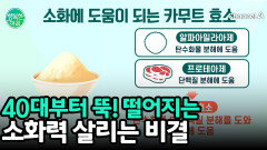 급격히 감소하는 소화력 소화에 도움 '카무트 효소'
