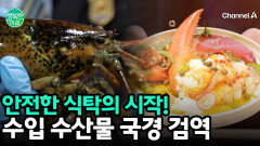 수입 수산생물의 안심 첫 관문, 국립수산물품질관리원의 철저한 국경 검역 현장