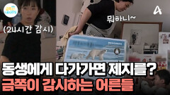 동생의 곁을 맴돌기만 해도 제지한다?! 금쪽이 전용 CCTV 가동한 어른들
