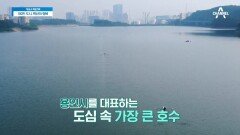 농업용 저수지를 힐링을 위한 호수로?! 용인시 '기흥호수공원'
