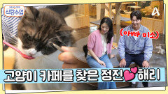 건대 고양이 카페를 찾은 정진해리, 정진 표 데이트가 해리에겐 힐링?