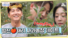 온 세상이 사과 향기로 가득... 정진해리 사과 농장 데이트