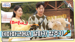 임실 치즈 테마파크에 놀러간 명월커플? 성질 나쁜 알파카에게 먹이 주기 도전