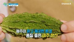 제주의 맑고 깨끗한 환경에서 재배한 여주, 여주 분말의 진실을 파헤쳐라?