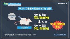 베타인 함유량이 인진 쑥의 10배!? 혈압 감소에 도움을 주는 구기자