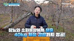 당뇨와 소화불량에서 탈출?! 당뇨 앓는 뱃살 공주에서 백설 공주로 환골탈태한 사연은?