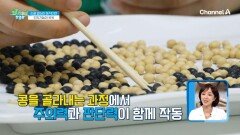 지금은 뇌 운동 중!? 손을 열심히 움직이면 인지기능이 쑥쑥