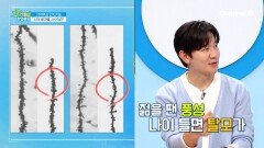 뇌의 해마를 사수하라! 해마 수상돌기의 상태에 따라 뇌의 인지기능이 차이가 있다!?