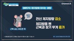 건강 다이어트의 정석! 체지방은 내리고 근육은 올리는 방법은?