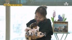 강아지가 주는 위로.. 서로를 살린 좋은 에너지