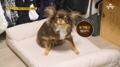 오로지 탄이만을 전용 냉장고에 핸드메이드 옷까지?