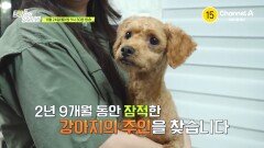 [예고] 2년 9개월 동안 잠적한 강아지의 주인을 찾습니다! 홀로 남겨진 강아지는 주인을 다시 만날 수 있을까?