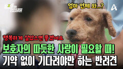 보호자의 손길을 그리워하는 반려견! 묵묵히 보호자를 기다릴 수밖에 없는 상황?