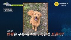 [예고] 임시 보호자에게 맡긴 뒤 실종된 강아지를 찾아주세요! 역대급 미스터리인 구름이 실종 사건의 진실은?