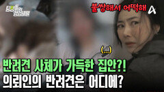 끝없이 나오는 반려동물의 사체들?! 말 없는 임시 보호자! 의뢰인의 반려견은 어디에?