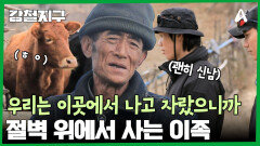 여기서 소도 키우고, 돼지도 키운다? 절벽 위에서 나고 자란 이족들의 마을 체험