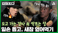 절벽 위에서 먹는 새참 맛은? 부모님 일손 돕고, 고추장 감자 얻어 먹는 강철이들!