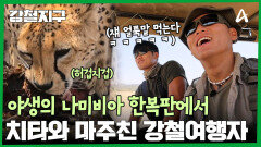 나미비아 한복판에서 야생 치타와 만나다! 강철 여행자와 치타의 아찔한 만남!