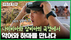 나미비아와 잠비아의 국경에서 악어와 하마를 찾아라?!