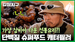 웰컴 투 잠비아! 아프리카의 정취 물씬! 잠비아의 수도 루사카